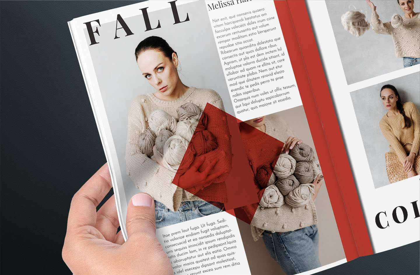 Inside Sweater Catalog